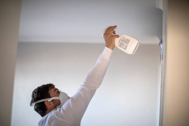 Best Water Damage Restoration  in Robinwood, MD